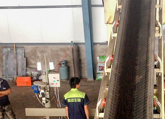 有機肥平模擠壓造粒機客戶現場